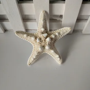Home Dekor 2 KOMADA bijela morska zvijezda 5-7 cm Bijela Prirodni Prst Morska Zvijezda Svadbena Dekoracija školjke, morska riba večernje bež zvijezde obrt