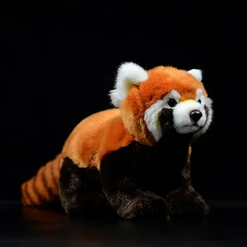 Modeliranje Crvena Panda Ailurus Fulgens Mali Panda Slatka Slatka Lutka Soft Кавайные Životinje Soft Pliš Igračke Edinburgu Poklona