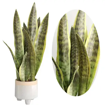 Umjetna Zelene Biljke Plastične Lažni Cvijeće Сансевиерия od 4 Lista Šarene i Svježe Lak za Njegu Pogodan Za Uređenje Doma