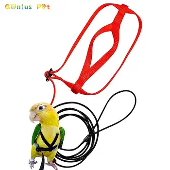 Papagaj Ptica Svežanj Remen Vanjski Leteći Proklizavanja Trake Grupa Podesiva Anti-bite Poligon Uže